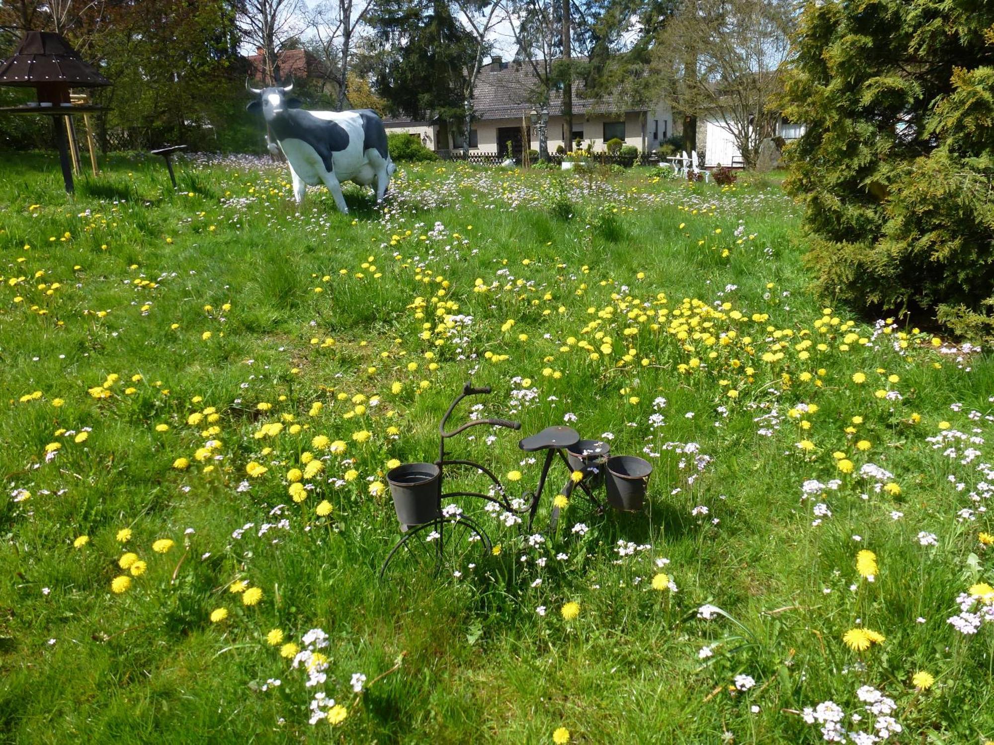 Land Des Friedens In Nettersheim / Eifel Διαμέρισμα Εξωτερικό φωτογραφία