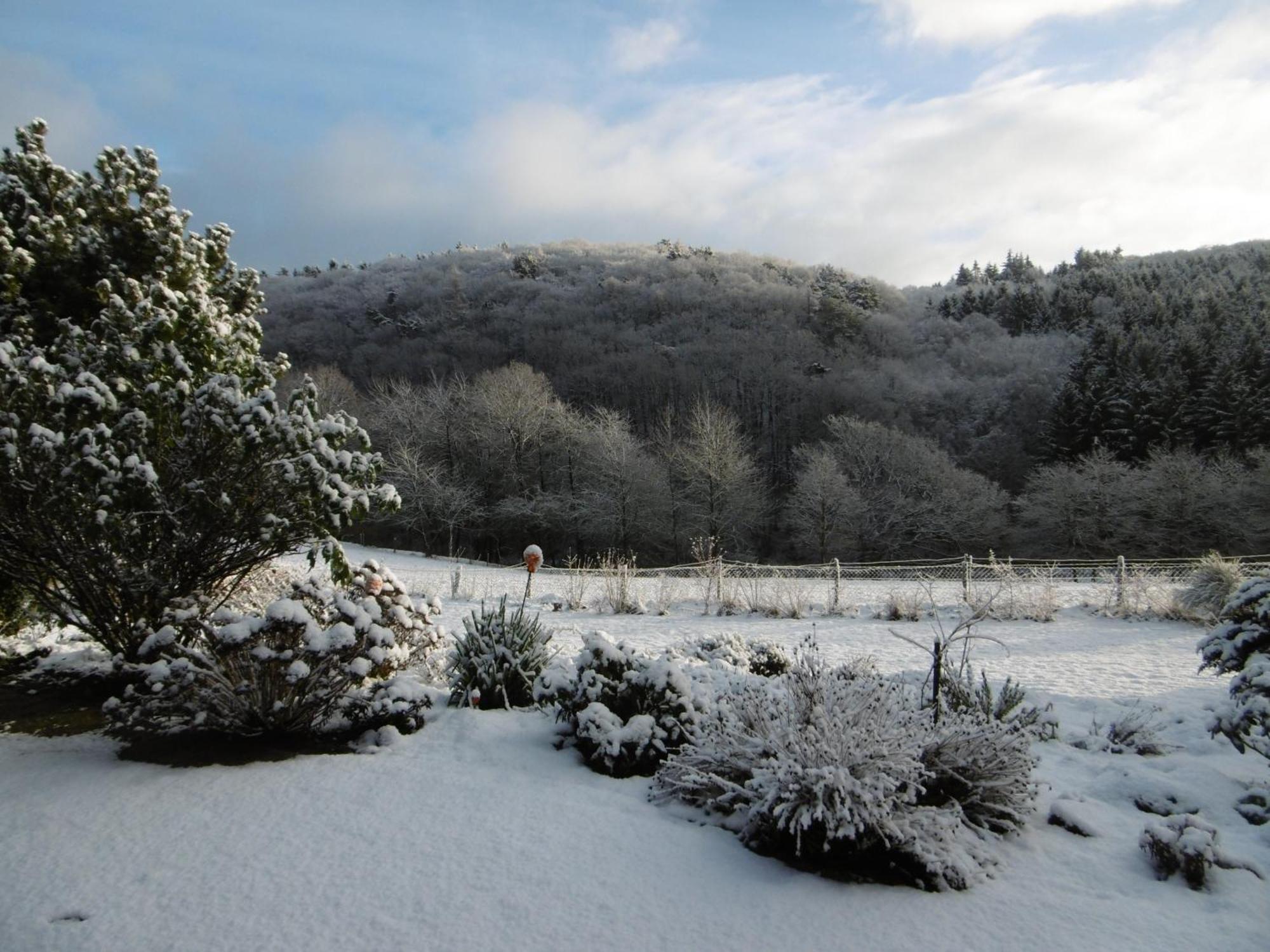 Land Des Friedens In Nettersheim / Eifel Διαμέρισμα Εξωτερικό φωτογραφία
