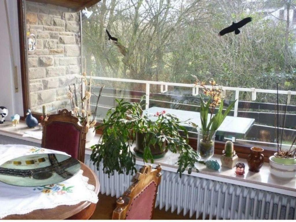 Land Des Friedens In Nettersheim / Eifel Διαμέρισμα Εξωτερικό φωτογραφία